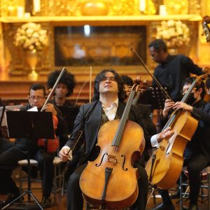 Amazonart-Equipo-Diego-Carneiro4